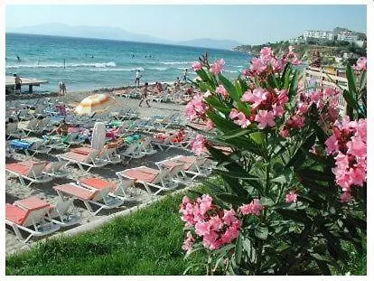 Rosy Bed and Breakfast 2*