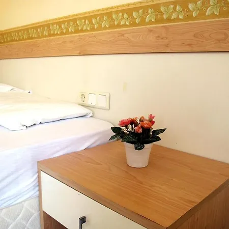 Rosy Bed and breakfast