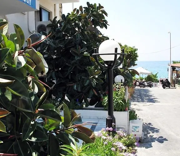 Rosy Bed & Breakfast 2*